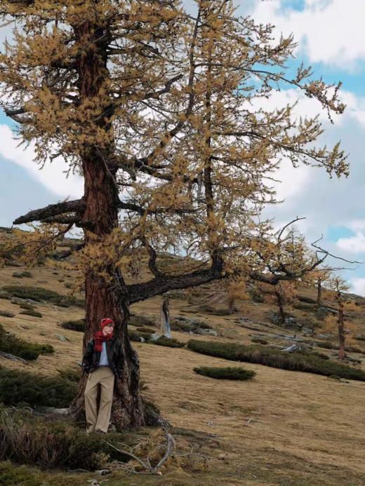 Evistub/E-4DCK969/棉混纺拆卸腰弯刀休闲裤 商品图3