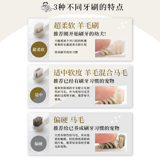 Migakende 猫咪小型犬牙刷 天然羊毛/马毛混合毛 商品图4