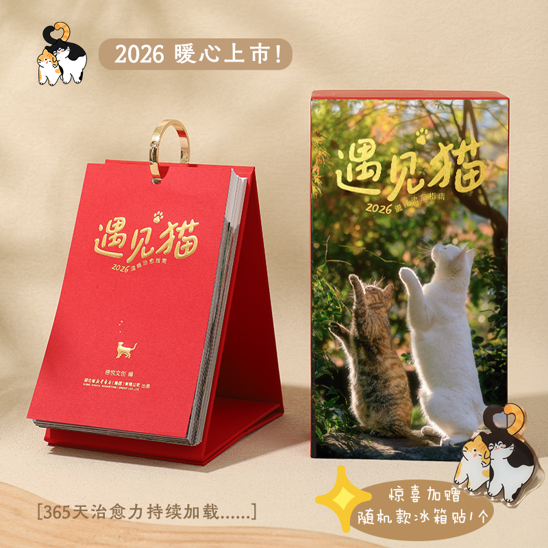 遇见猫2026猫日历 温暖治愈指南 猫日历原创自然摄影 治愈原创猫咪宠物创意ins风台历桌面摆件台历小日历马年日历丙午马年