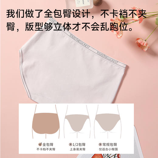 60支全棉舒适中腰内裤 商品图3