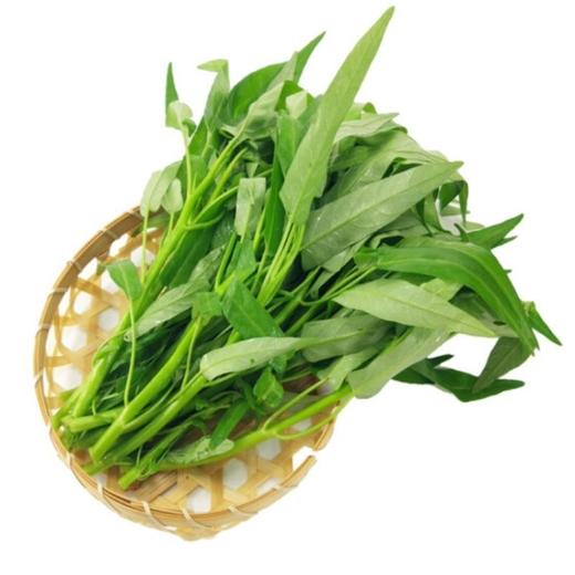 绿杆空心菜 约300g/份 商品图0