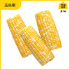 玉米串 5串 烧烤食材户外露营半成品 商品缩略图1