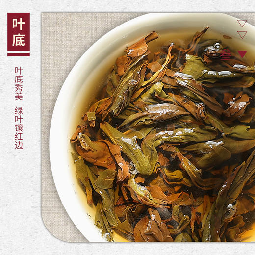 【山纯限品】2025年027大王峰高枞水仙17g 商品图4