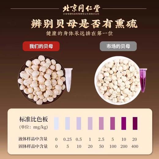 川贝母 特级无硫熏 商品图2