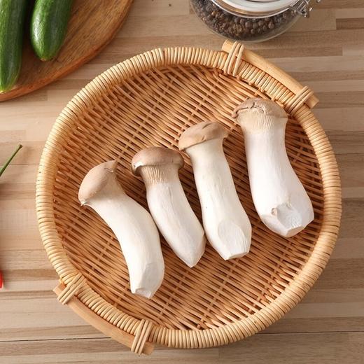 杏鲍菇 约180-220g/份 商品图1