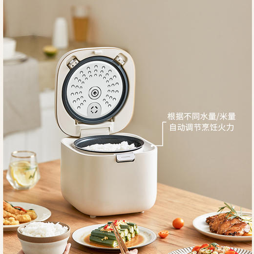 【低糖本味 饭香依旧 】倾厨迷你低糖饭煲2L 米汤萃取器304不锈钢 加厚精铁内胆 一体触屏面板 智能菜单 24h预约 上下NTC双控温探头 汤粥防溢出 商品图1