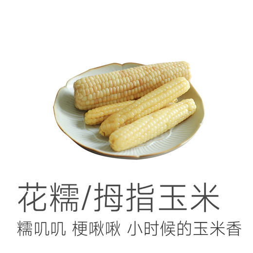 【花糯玉米/拇指玉米】糯叽叽 梗啾啾 蒸煮7-8分钟 或放入微波炉中加热2分30秒 减脂早餐 商品图1