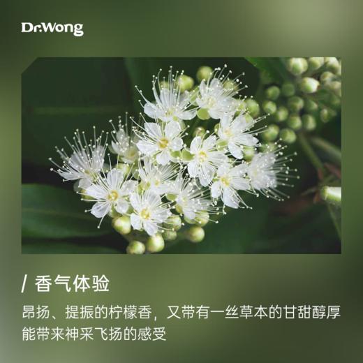 柠檬香桃木 植物香薰精油（撕拉款） 商品图1