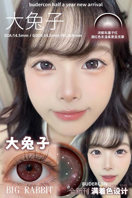 budercon 半年抛 大兔子 直径14.5mm着色14.5mm 商品图0