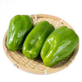 青圆椒 约500-600g/份