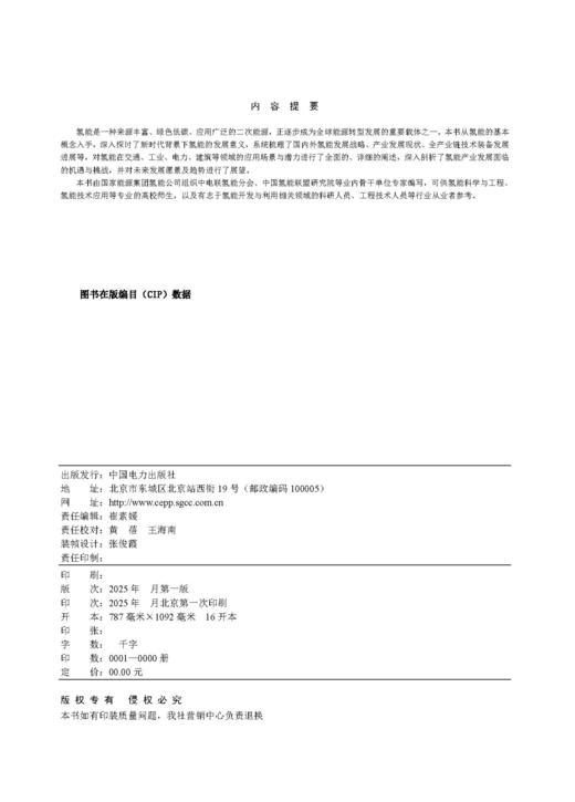 氢能产业发展与技术丛书 氢能产业发展与展望 商品图2