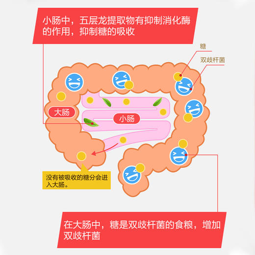 FUJIFILM　富士胶片 控糖减脂丸（袋装） 商品图1