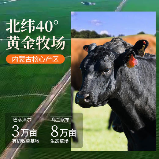 痩龙有机原切牛排组合套装 菲力/眼肉/上脑/西冷 200g/盒 清真低碳生酮 商品图8