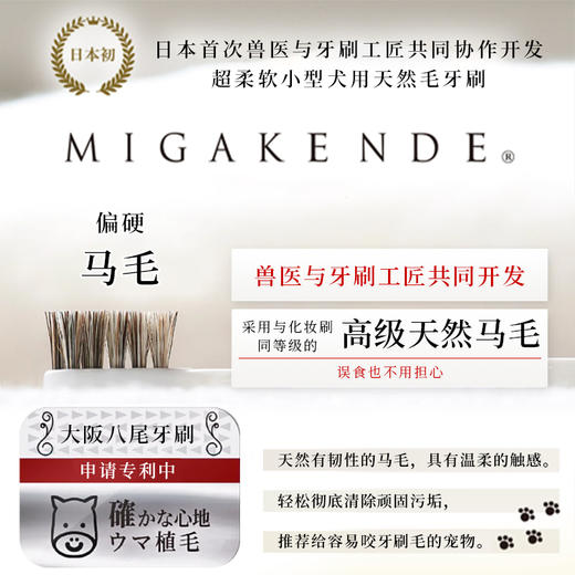 Migakende 猫咪小型犬用牙刷 天然马毛 商品图1
