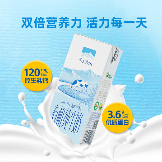 天山冰川牧场纯牛奶【三重有机认证】新疆绿色生态牧场 纯种荷斯坦奶牛高钙奶 D不参与折扣和优惠 商品图3