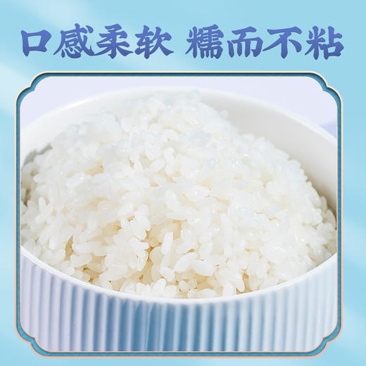 隆平芯米（辽河基地）5kg 商品图2