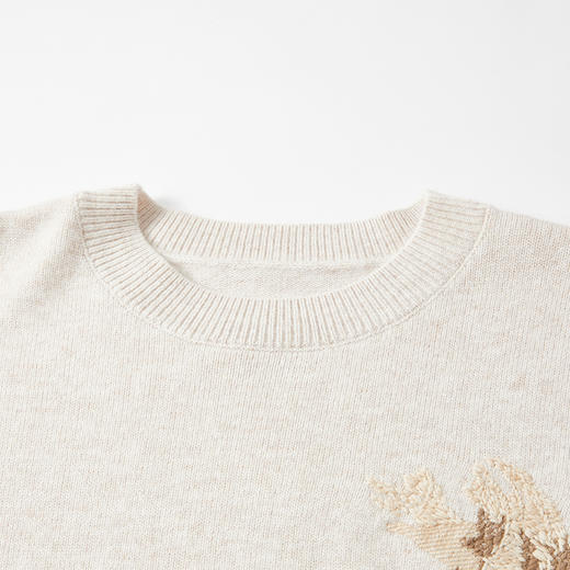 谜底套头针织衫长袖2025冬新品宽松刺绣柔软保暖毛衣女254MZ1859 商品图3