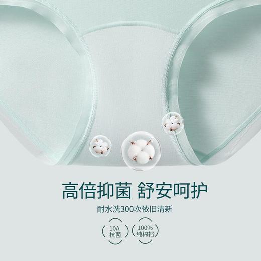 洁丽雅女士内裤新款裆夏薄款抗菌三角短裤柔软透气底裆棉内裤 商品图3