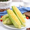 水果玉米 约550-650g/份 商品缩略图1