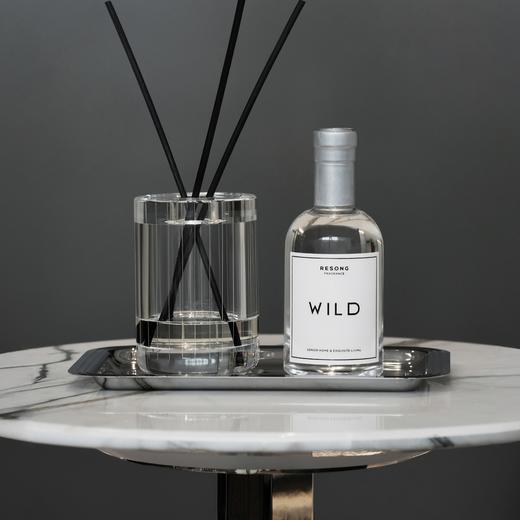 HD流光精抛不锈钢长方形小托盘 RESONG日诵家居 果盘首饰盘 商品图3