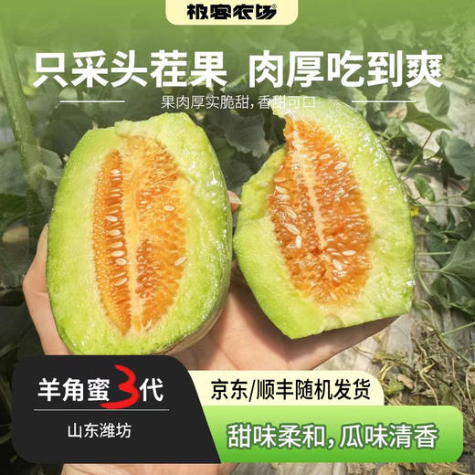 【预计6号左右采摘】三代羊角蜜丨 只采头茬果， 瓜味正，酥脆可口。不催熟，不膨大，熟度高，就是个头小，轻微干疤蹭伤不影响食用，介意慎拍！⭐️京东快递 商品图0
