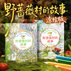 野蔷薇村的故事·涂绘版平装儿童3岁+原著手稿插画线稿涂色绘本 商品缩略图0