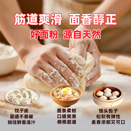 圣地博格多用途高筋面粉加拿大硬红小麦粉烘焙原料5KG 商品图8