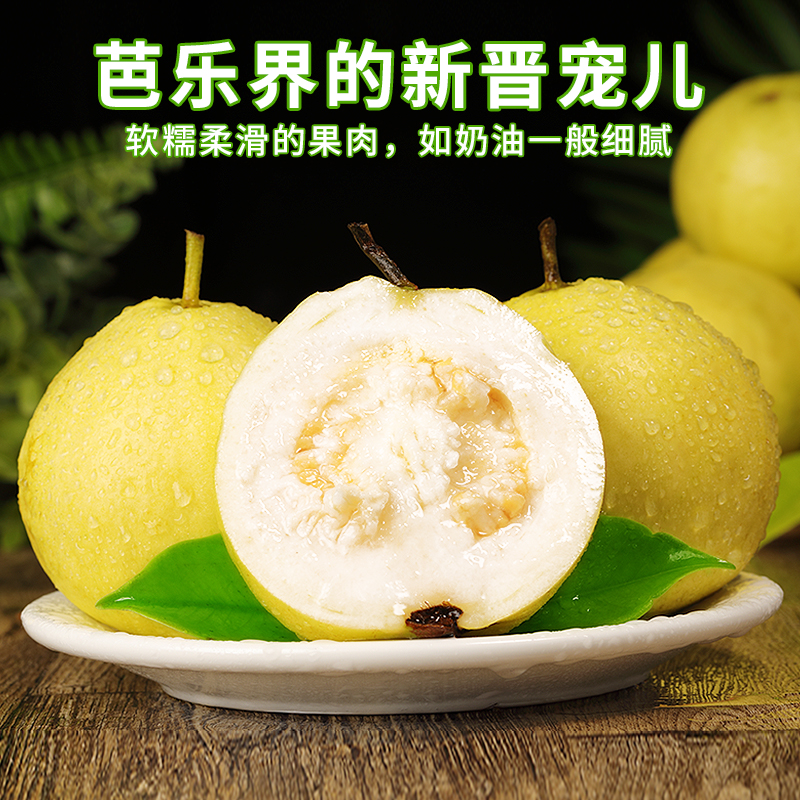 广西白心芭乐 3斤装 顺丰快递