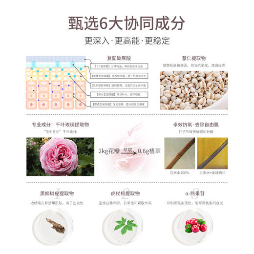 CyclePlus 菁龄 娜丽丝院线焕白能量水 80ml 商品图2