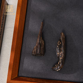 天然达拉干沉香 沉水级 SP12025