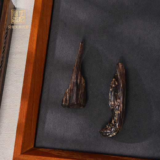 天然达拉干沉香 沉水级 SP12025 商品图0