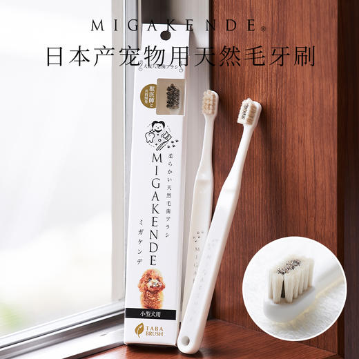 Migakende 猫咪小型犬牙刷 天然羊毛/马毛混合毛 商品图0