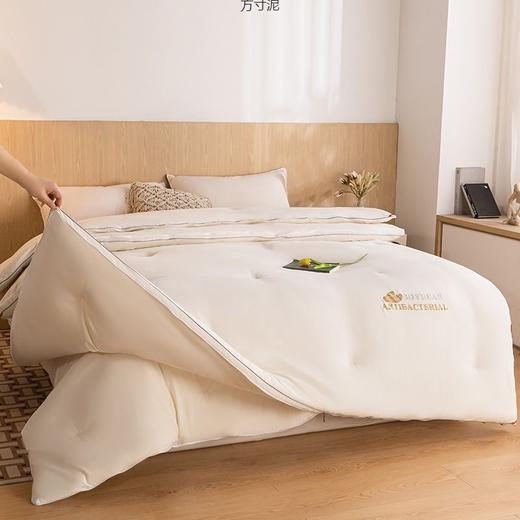 【YW】无忧购大豆子母被二合一拉链款加厚保暖春秋被芯四季通用（截单后3-5天发货) 商品图4