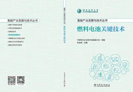 氢能产业发展与技术丛书 燃料电池关键技术 商品图1
