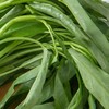 绿杆空心菜 约300g/份 商品缩略图2