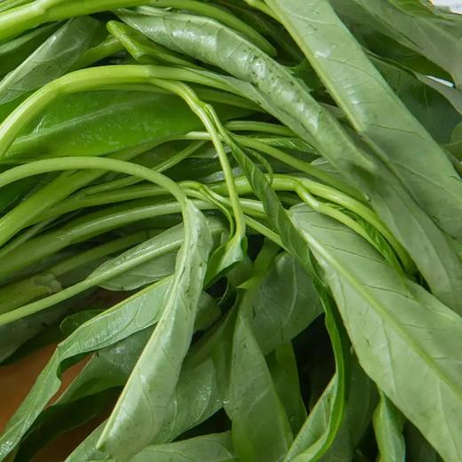 绿杆空心菜 约300g/份 商品图2