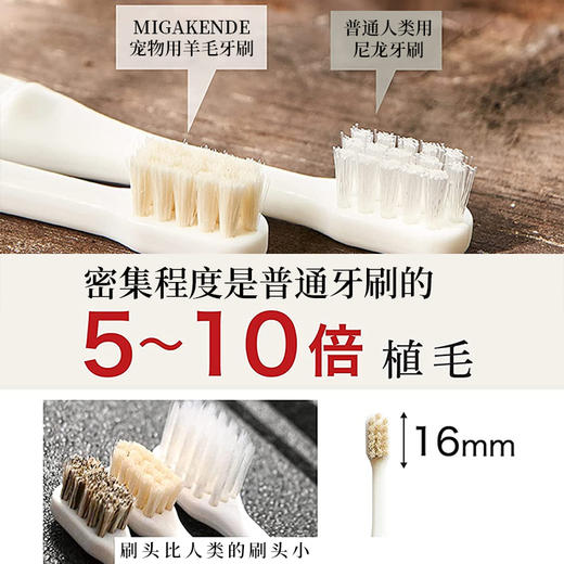 MIGAKENDE 猫咪小型犬用斜面牙刷 天然羊毛/马毛混合毛 商品图3
