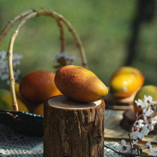 【预售】海南树熟贵妃芒丨肉厚核小 口感甜香浓郁  果肉细腻嫩滑‼️⭐️京东快递 商品图3