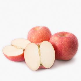 山东红富士苹果 约750-850g/份