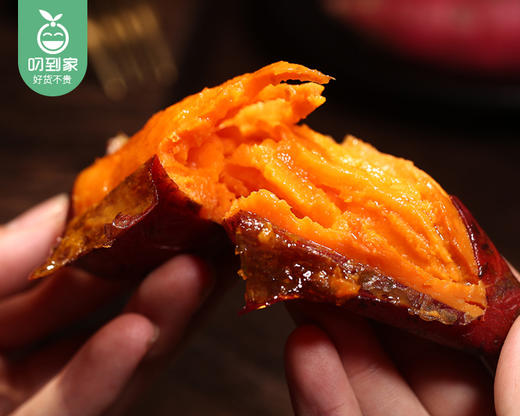 漳浦六鳌镇沙地红蜜薯-中果/1份（1.5kg±100g） 商品图4