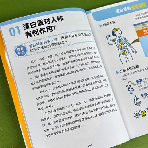 【14岁+】《原来如此！蛋白质运转的奥秘》——揭秘蛋白质运转奥秘的科学读物 商品图4