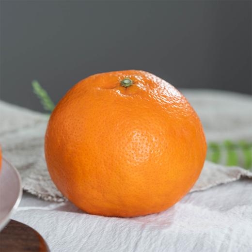明日见柑橘丨晚熟大果型柑橘，春见的升级版，果肉紧实偏薄，肉质细嫩，高甜少酸，时令短⭐️顺丰快递 商品图4