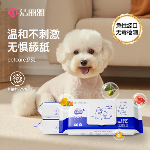 洁丽雅宠物湿巾猫咪狗狗专用湿纸巾擦脚清洁免洗澡猫用纯水抑菌 商品图0