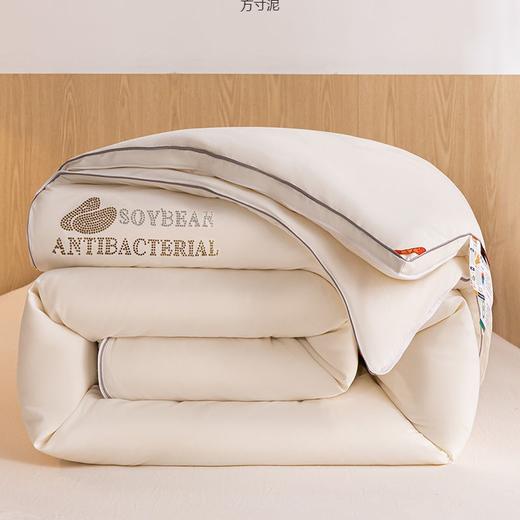 【YW】无忧购大豆子母被二合一拉链款加厚保暖春秋被芯四季通用（截单后3-5天发货) 商品图3