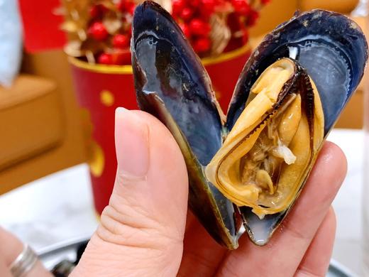 【排单发货】新鲜栉孔扇贝/海虹青口贝丨现捕现发，保鲜不保活，到货及时吃，新鲜肥美完全不影响⭐️京东快递 商品图1
