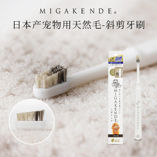 MIGAKENDE 猫咪小型犬用斜面牙刷 天然羊毛/马毛混合毛 商品图0