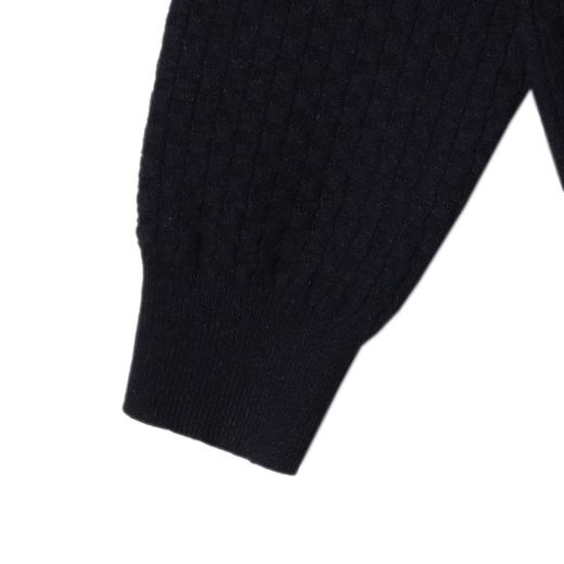 2016SDSA男士秋冬新款痞帅男装复古格纹海鸥领设计针织衫百搭时尚毛衣 商品图4