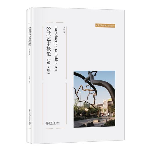 公共艺术概论(第2版) 王中 著 北京大学出版社 商品图0