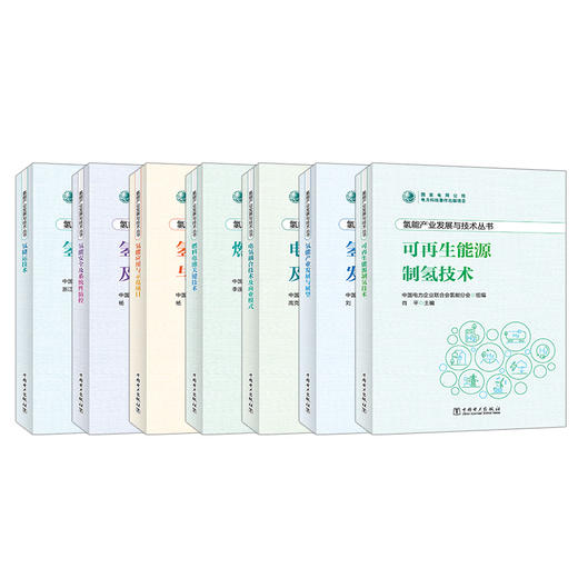 氢能产业发展与技术丛书 商品图0