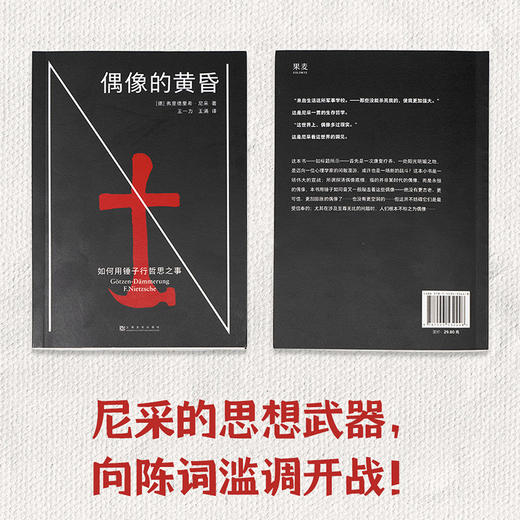 偶像的黄昏（那些没能杀死我的，使我更加强大！） 商品图4